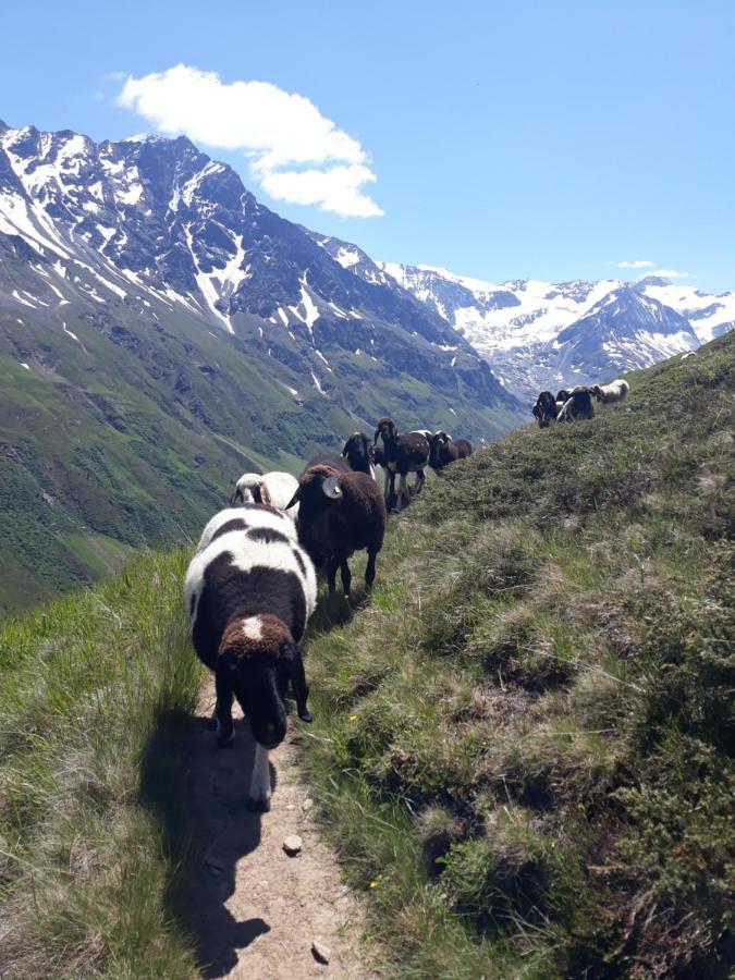 Berg-Juwel Daire Sankt Leonhard im Pitztal Dış mekan fotoğraf